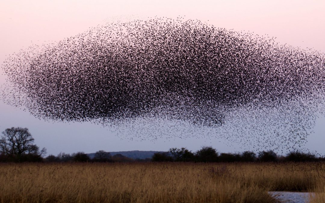 The Three Hardest Things For Family Enterprises to Do and Why