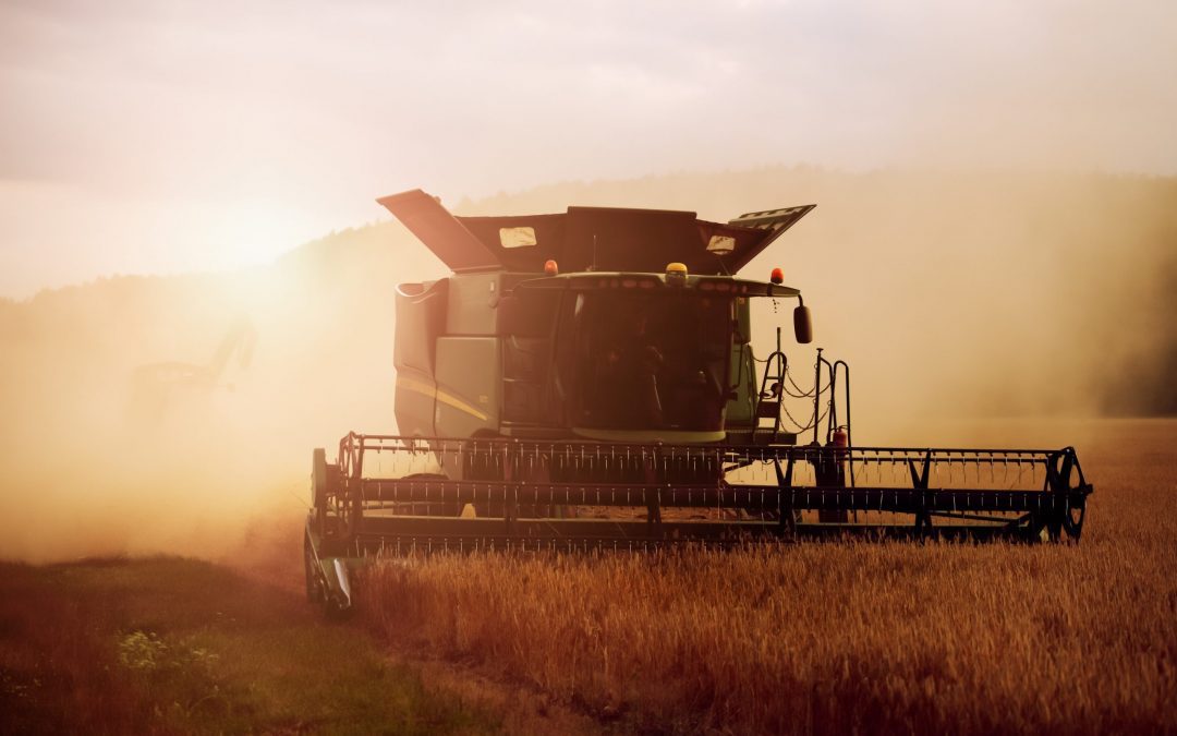 Don’t Fear the Reaper? – Where are We and What’s Going On?